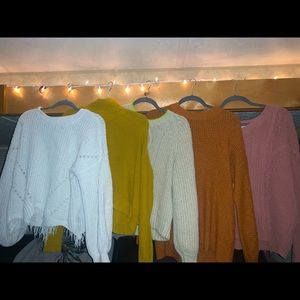 5 well conditioned sweaters!